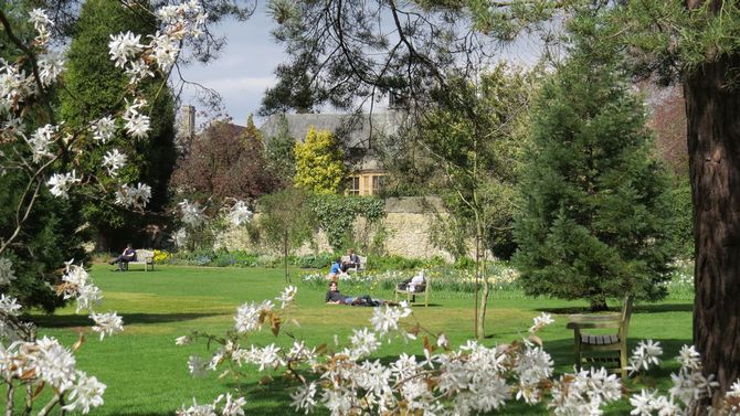 Wadham College Gardens